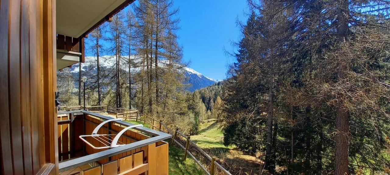 Stelviostay Residence Stelvio Valdisotto Buitenkant foto