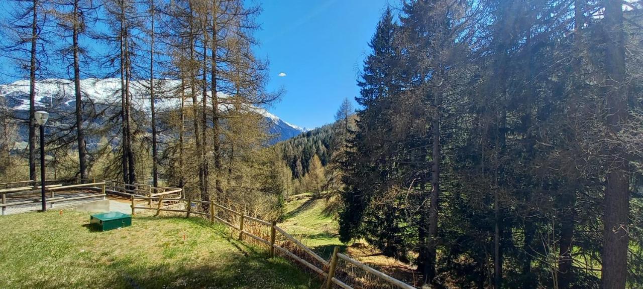 Stelviostay Residence Stelvio Valdisotto Buitenkant foto